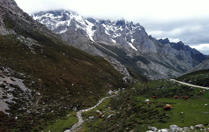 Monte Camba