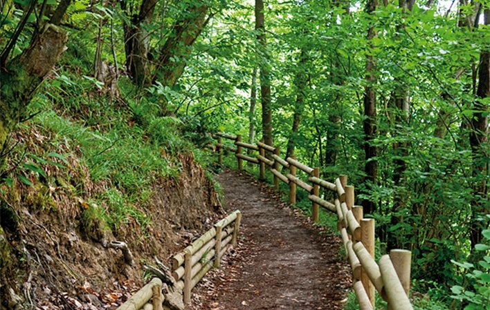 Senda Verde Foyoso