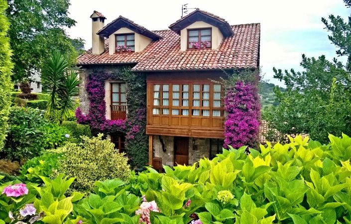 Trisqueles y Buganvillas