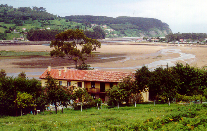Misiego