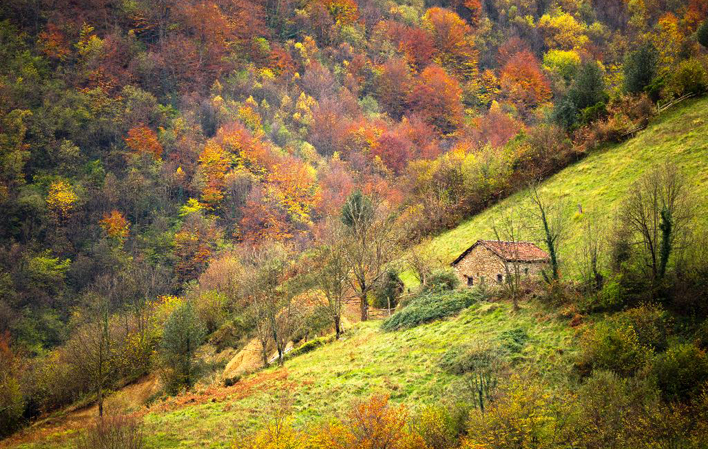 Sidrería Mercadiellu
