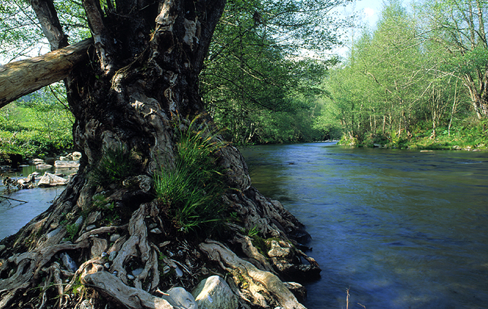 Río Esva