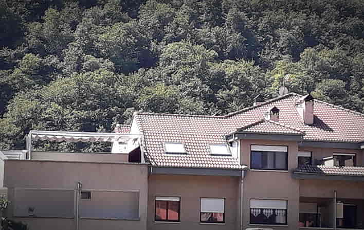 Corral de Santos 61