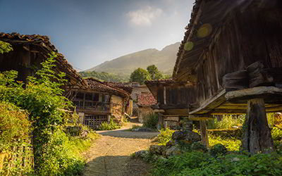 Bermiego
