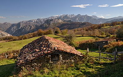 Bosque de Peloño