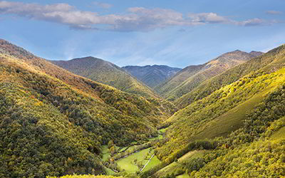Bosque de Muniellos