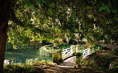 Jardín Botánico Atlántico