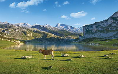 Lagos de Covadonga