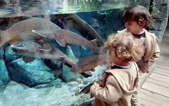 6 propuestas culturales para tus niños