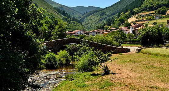 Tuña (Tineo)
