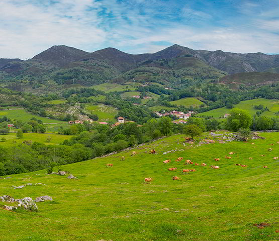 Sirviella (Onís).