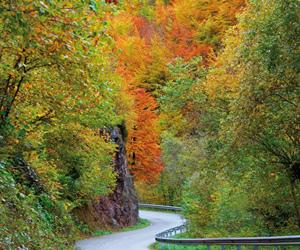 Imagen RSS Naturaleza