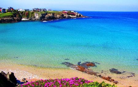 Playa de Anguileiro
