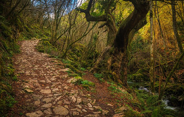Ruta del Beyu Pen, Amieva