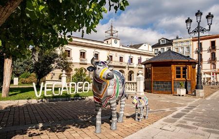 Vaca Silvallana en Vegadeo