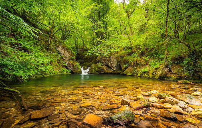 Ir a Imagen Senderos de Asturias
