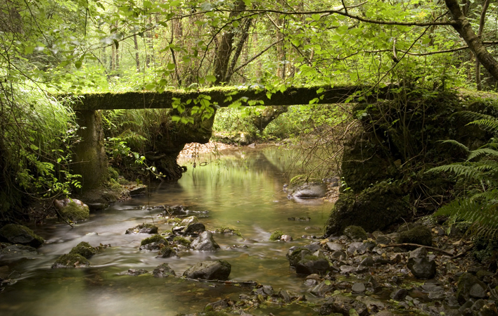 Ruta de la ribera del río Peña