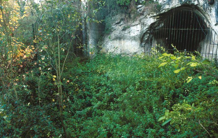 Ir a Imagen Reserva Natural Parcial de Cueva de las Caldas