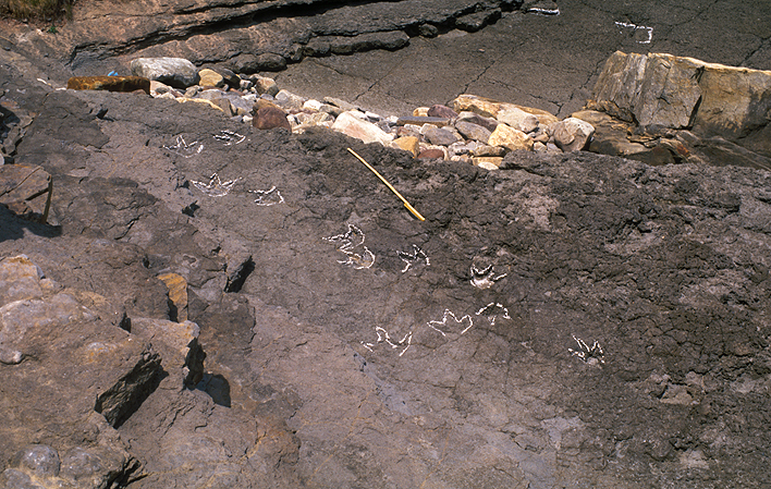 Monumento Natural de los Yacimientos de Icnitas