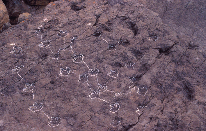 Monumento Natural de los Yacimientos de Icnitas