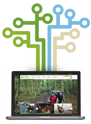 Ir a Imagen Open data imagen