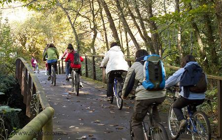 Paseo en bicicleta por la senda del oso