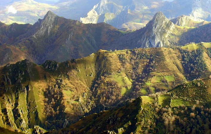 Lobo Nómada