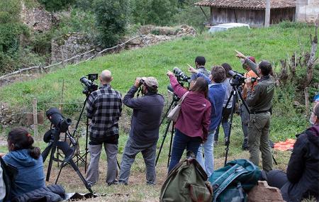 Observación de flora y fauna