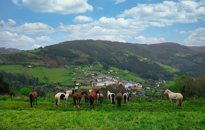Marcha en caballo