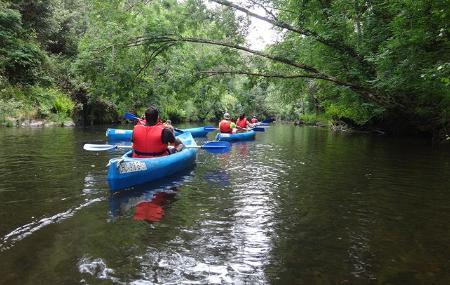 Canoas por el Río Eo