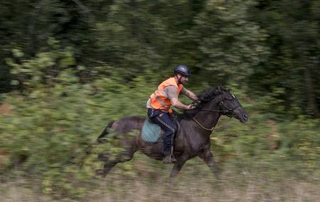 Asturias a Caballo