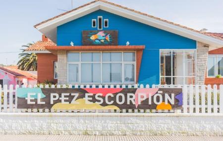 Escuela de Surf El Pez Escorpión