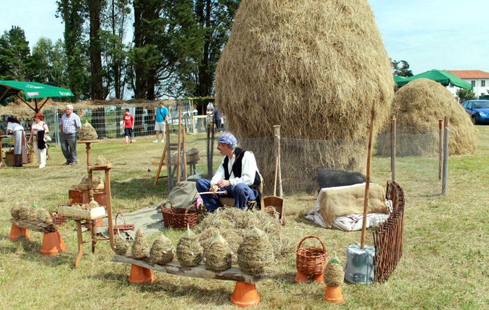 Ir a Imagen Mercáu Tradicional de Oles