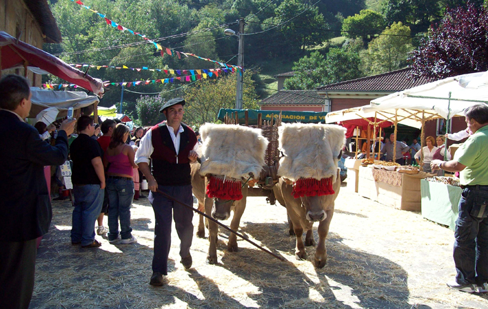Mercado Asturiano de Cenera