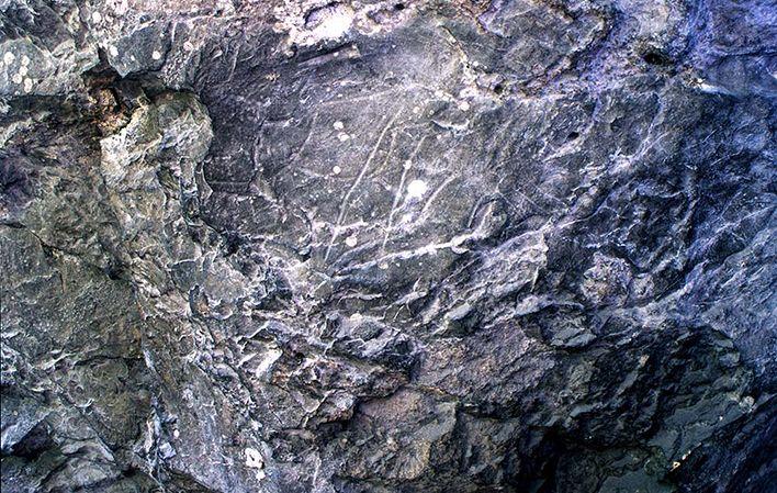 Ir a Imagen Cueva del Molín o Abrigo de Entrefoces