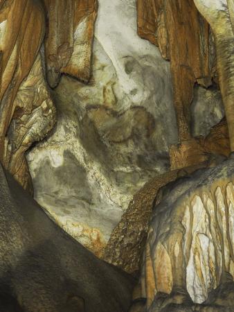 Cueva de La Peña o de Candamo