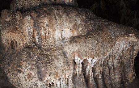 Cueva de La Peña o de Candamo