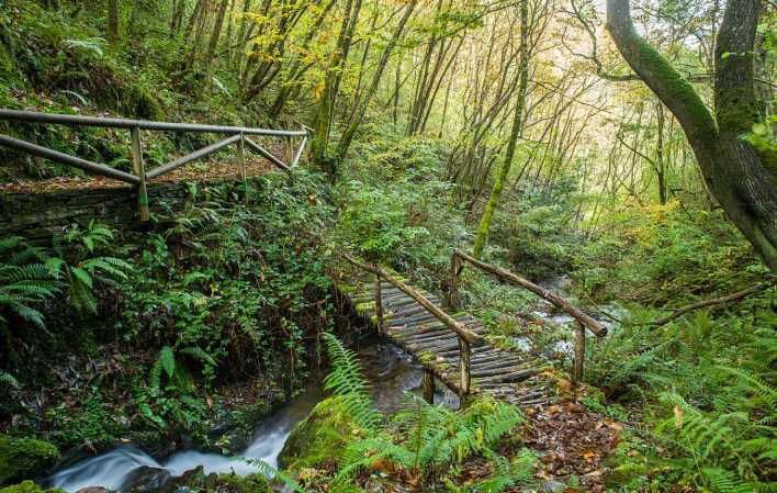 Sendero Ruta del Agua en Taramundi