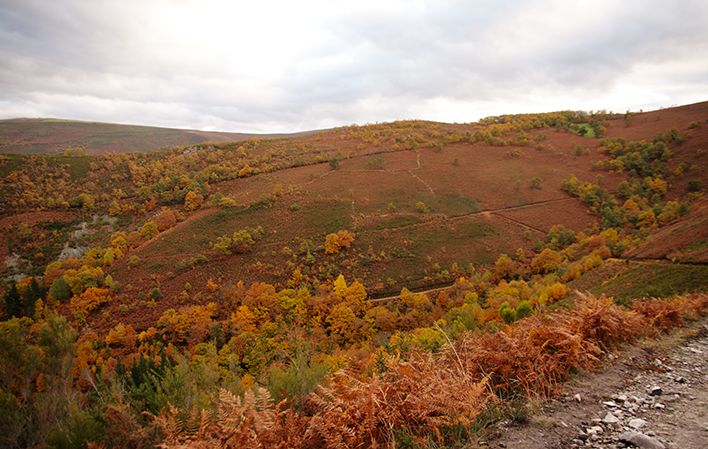 Pomar de las montañas 4