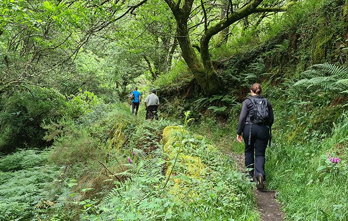 Ruta a la Seimeira