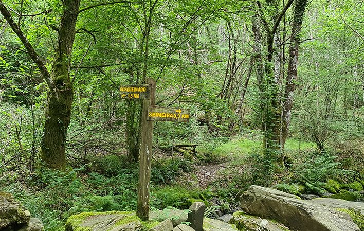 Ruta a la Seimeira