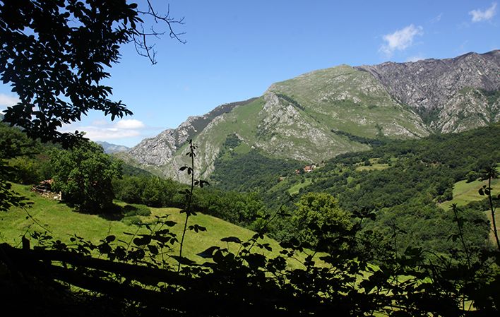 Ir a Imagen Valle de Ponga