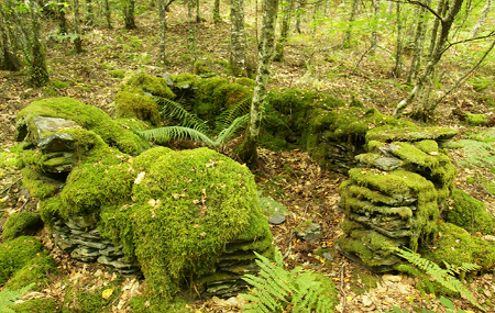 Ruta de A Paicega - Pesoz
