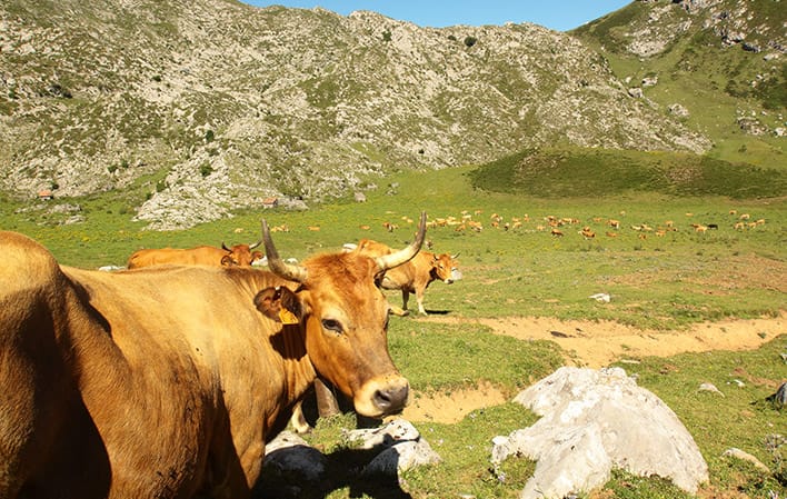 Senda del Arcediano 1