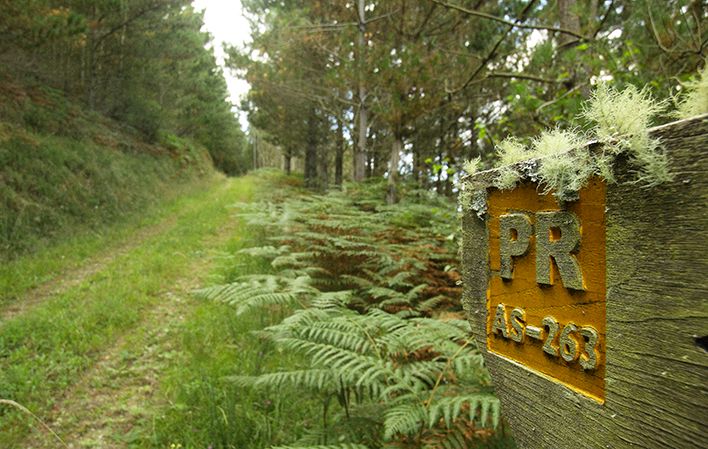 Ruta As Minas en Vegadeo