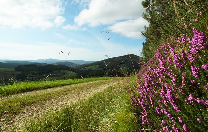 Ruta As Minas en Vegadeo
