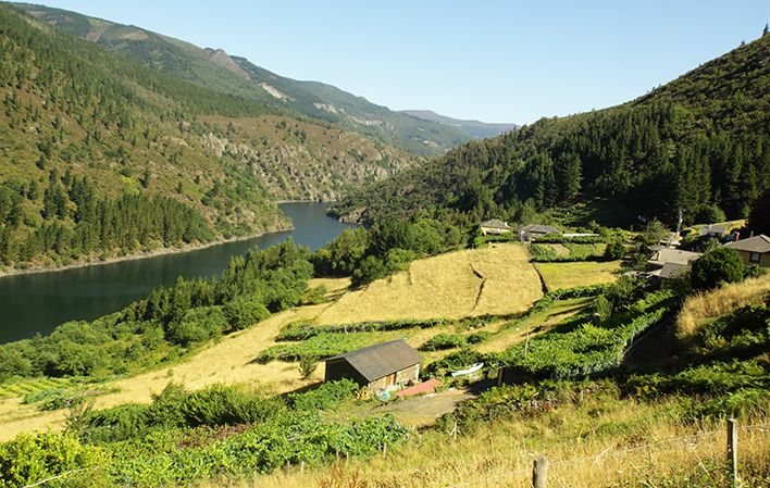 Vistas del río Navia desde la ruta del puente colgante de Illano