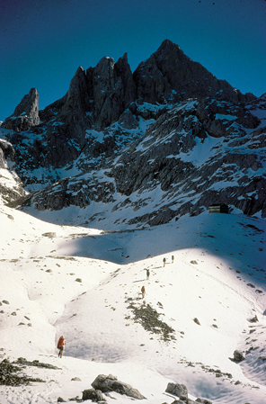Torrecerredo