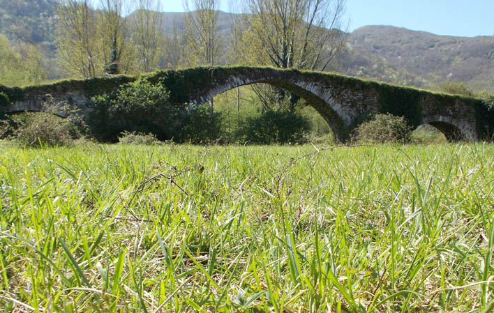 Puente viejo de Olloniego
