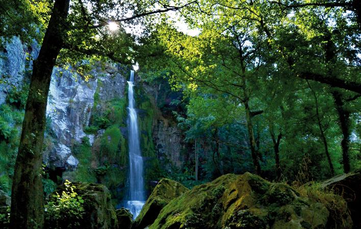 Ir a Imagen El Dolmen